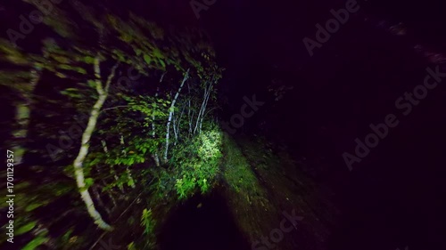 POV walking in dense woods at night in fear. Running from in the dark forest woodland trail. Escape in scary dark mysterious forest or haunted forest. Halloween horror background.