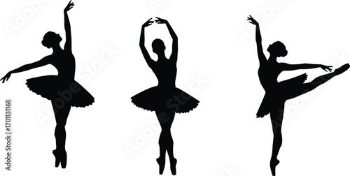 Graceful ballet dancer silhouettes performing elegant poses in tutu skirts, showcasing artistic movement, balance, and classical dance style vector illustration.