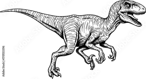 silhouette vector of Detailed woodcut drawing of a velociraptor dinosaur isolated on white background svg png