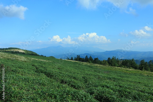 美ヶ原高原