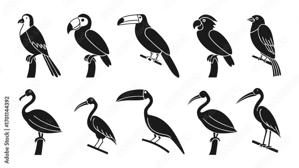 Fototapeta premium Collection of Stylized Bird Silhouettes on Perches