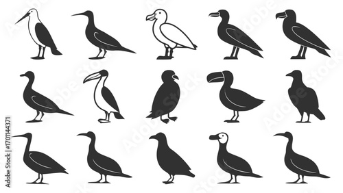 Silhouette Collection of Seabirds albatross gull