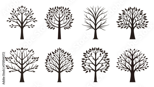 Silhouette Collection of Deciduous Trees branch leaf