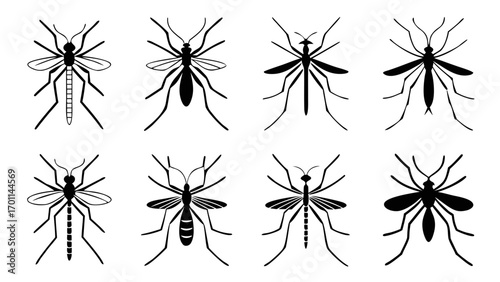 Mosquito Silhouettes In Grid Layout insect pest