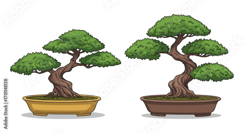 two bonsai trees in pots with lush green foliage