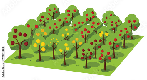 a forest scene with diverse trees showing seasonal changes