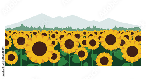 a field of sunflowers under clear skies with distant mountains