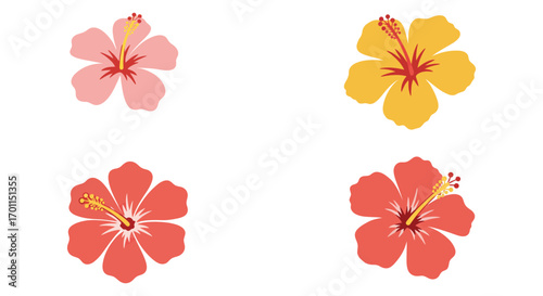colorful hibiscus flowers arranged neatly in four corners
