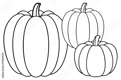 Three pumpkins line art gourds autumn