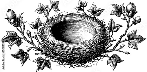 Vintage engraving style illustration of bird nest with flowers for nature design