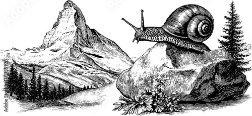 Vintage hand drawn engraving of snail on rock against mountain landscape