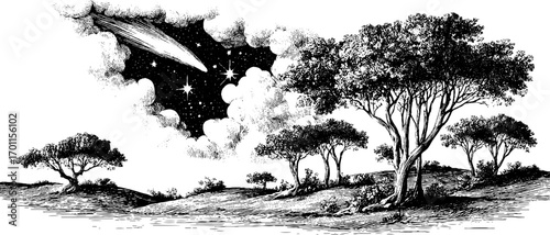 Night sky scene with trees and shooting star in vintage engraving style for artistic design