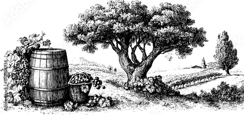 Vintage vine landscape with barrel and basket of grapes in engraving style