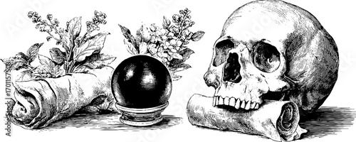 Mystical witch secrets with skull and crystal ball in vintage engraving style