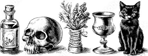 Witch laboratory elements in vintage engraving style for halloween design