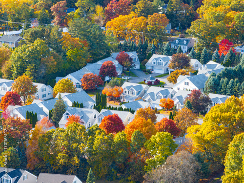 Schilderij op canvas Aerial view of suburban housing community in autumn season with colorful trees