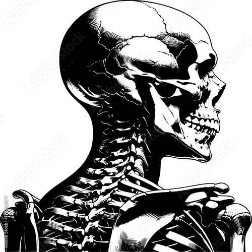 Anatomy's Embrace: An artistic portrayal of a human skeleton, meticulously detailed in stark monochrome, revealing the intricate architecture of the human form.