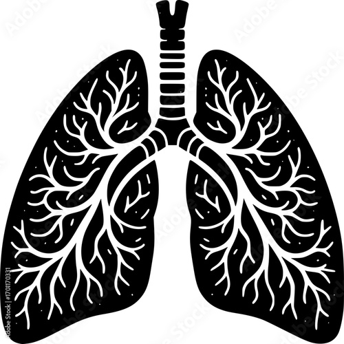 Respiratory System: A striking silhouette of the human respiratory system, rendered in stark black and white, highlighting the intricate network of the lungs and trachea.
