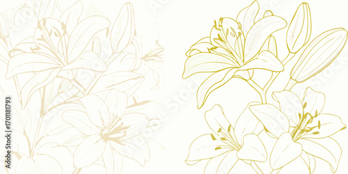 Elegant golden outline of lily flowers and buds on a white background with subtle faded floral elements