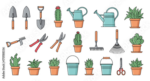 Collection of outdoor gardening tools and potted plants for home gardening enthusiasts