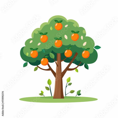 Orangenbaum