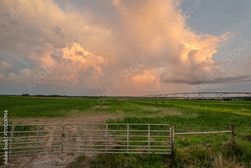 Summer storms grow in the midwest