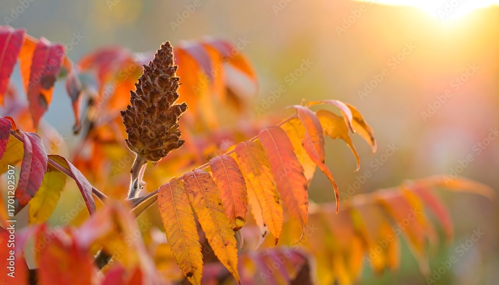 Obraz premium Autumn foliage close-up, warm light