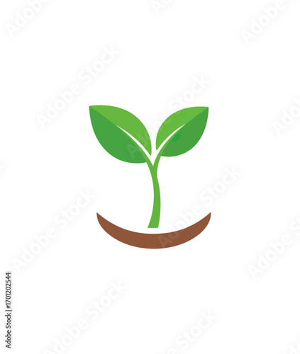 Sprout growing from soil