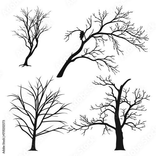 Collection of four distinct black silhouette bare trees with intricate branch structures against a clean white background representing winter or dormancy