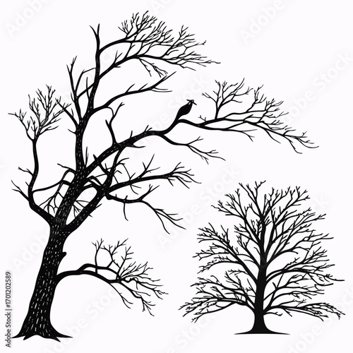 Silhouette of bare winter trees with a bird perched on a branch against a white background evoking a sense of solitude and the changing seasons