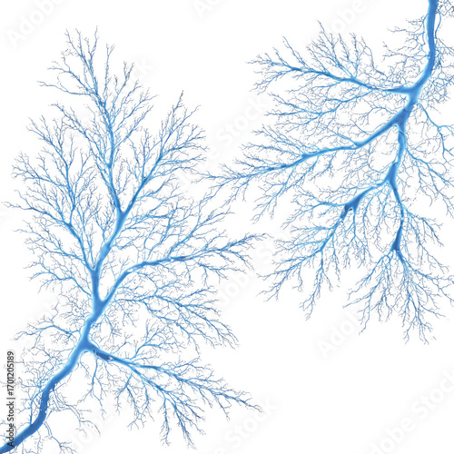 Abstract Blue Lightning Tree Branches on Black Background