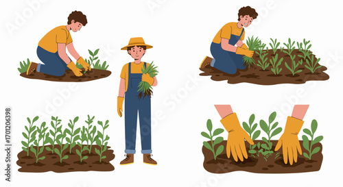 Young male gardener planting, weeding, and harvesting fresh produce, illustrating stages of sustainable agriculture and plant care activities.