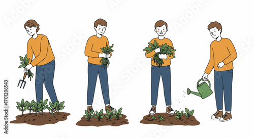 Young man engaged in a sequence of gardening activities: weeding, harvesting fresh greens, and watering plants for a healthy, sustainable lifestyle.