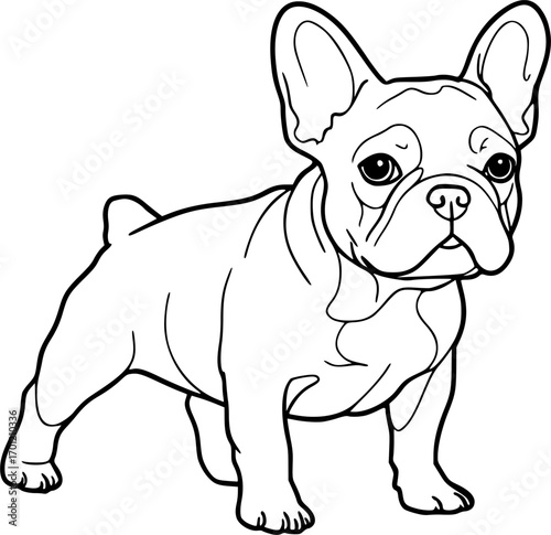 French bulldog line art vector illustration
