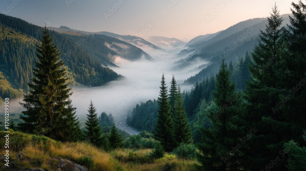 Fototapeta premium Scenic mountain landscape with forest and valley covered in morning mist revealing its beauty