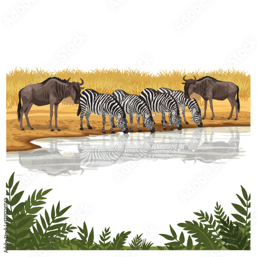 A peaceful herd of zebras and a few wildebeest drink calmly at a vibrant savanna watering hole, depicted in a clean flat 2D vector illustration with green foliage.
