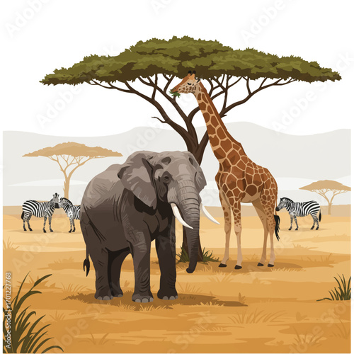 A vibrant 2D flat vector illustration depicts a majestic elephant walking through the African savanna while a towering giraffe eats acacia leaves and a group of zebras grazes peacefully.