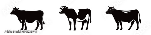 Three striking silhouettes of cows showcase various breeds, emphasizing their unique shapes and characteristics in a simple and elegant format.