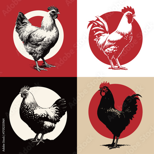 Four artistic depictions of chickens are arranged in a grid. Each chicken is styled differently with unique colors, showcasing traditional farm imagery.