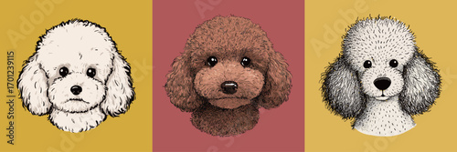 Three adorable cartoon illustrations of poodles display distinct fur colors and textures, set against vibrant backgrounds. Each character has a unique expression.