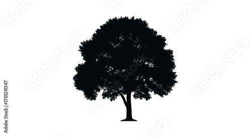 a silhouette of a tree standing alone against white background
