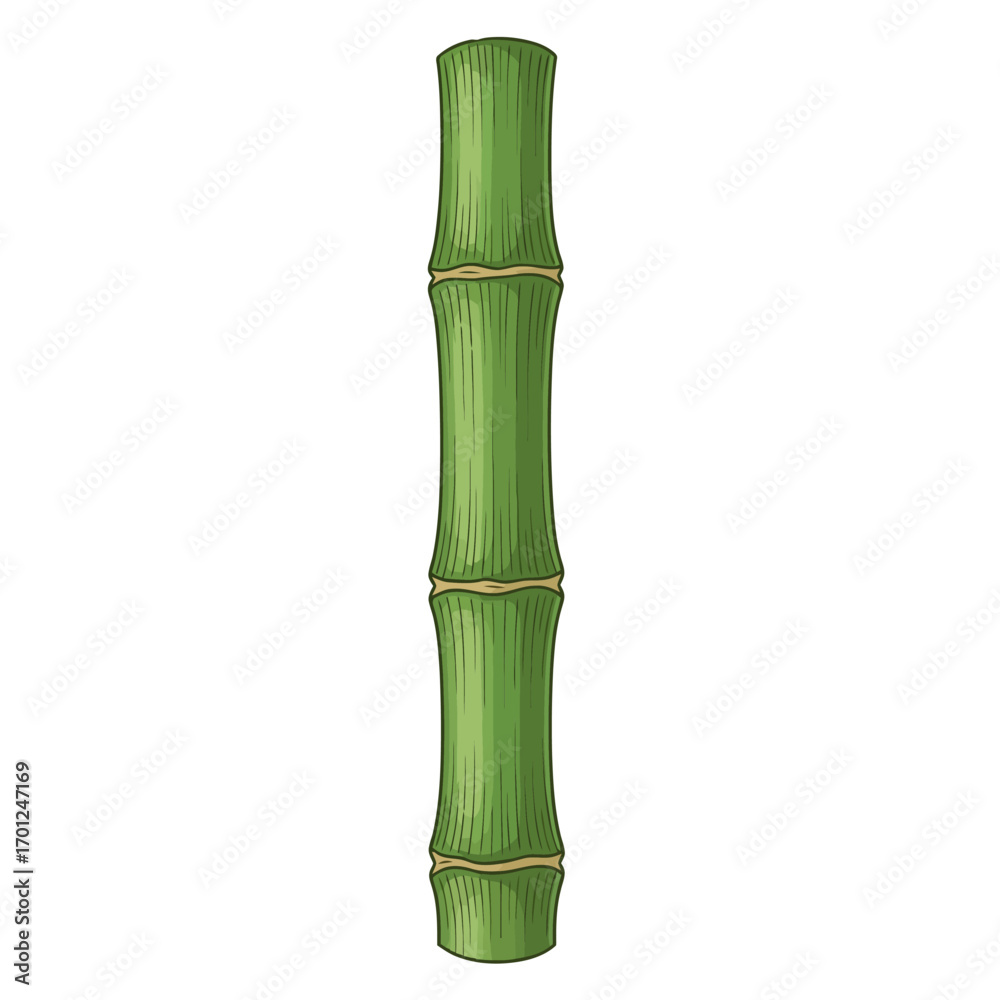 Obraz premium Close-up of a single, vibrant green bamboo stalk, showcasing its smooth, cylindrical form and distinct nodes.