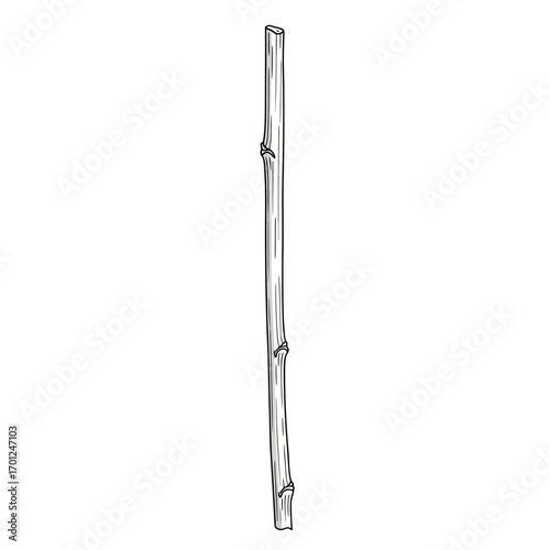 A hand-drawn black and white sketch of a straight wooden stick or twig, isolated on a plain white background.