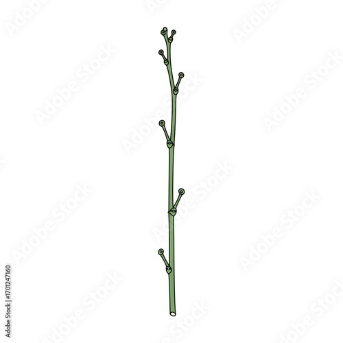 Illustration of a coat rack with multiple hooks.