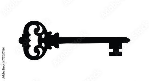 an intricate antique key silhouette with ornate details