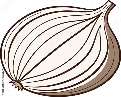 Single realistic onion vegetable illustration. Fresh onion bulb isolated artwork. Realistic onion healthy food design. Onion vegetable farm fresh illustration. Organic onion realistic bulb artwork