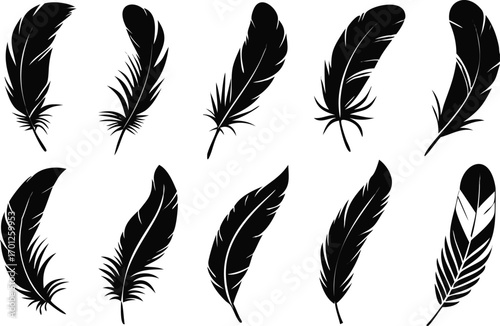 Elegant black feather silhouettes arranged on a white background for artistic design elements 
