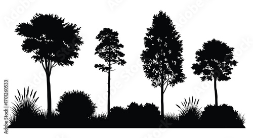a silhouette scene featuring tall trees and various plants
