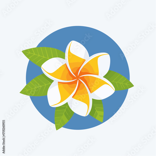 White and Yellow Frangipani Flower with Green Leaves on Blue Circle