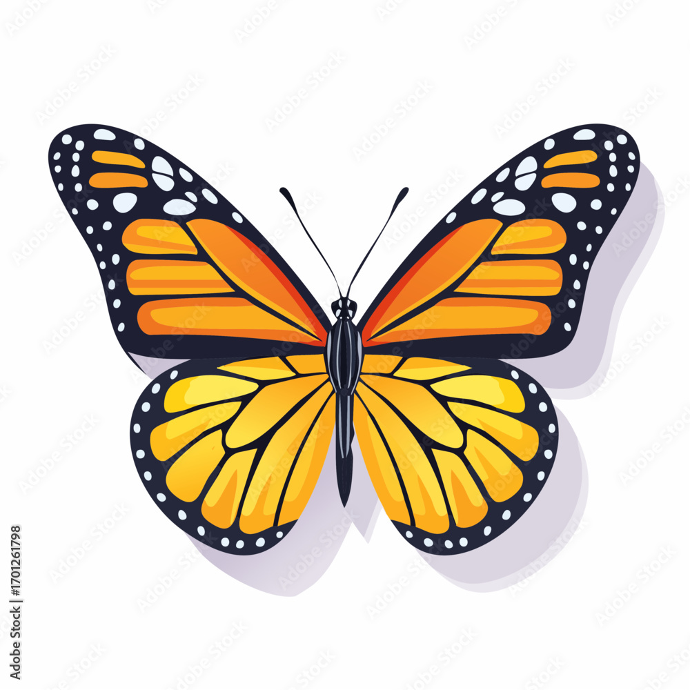 Fototapeta premium Orange And Black Butterfly With White Background